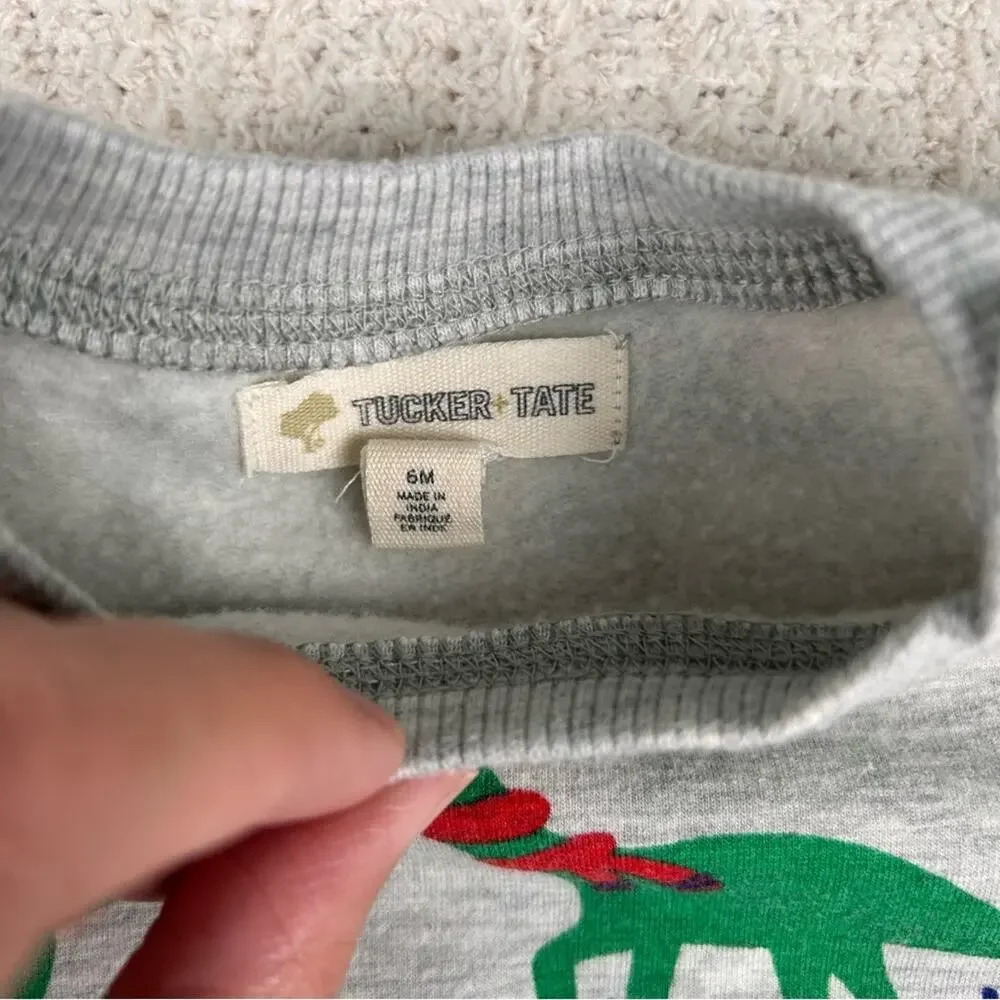 Tucker + Tate Boys Matching Set 6M Gray Dino Print Fleece Sweatshirt and Joggers